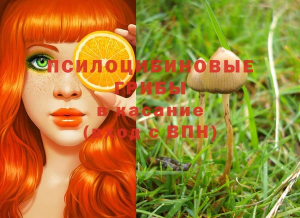 альфа пвп Богданович