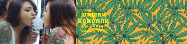 jwh Белокуриха