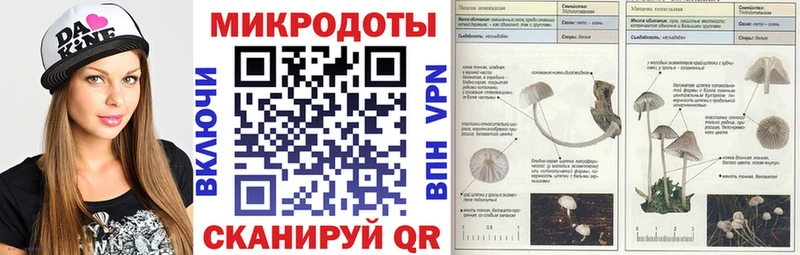 Галлюциногенные грибы Psilocybe  darknet наркотические препараты  Белоозёрский 